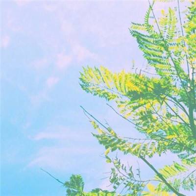 ag娱乐平台游戏中心