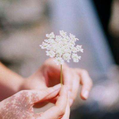 幸运快3在线官网