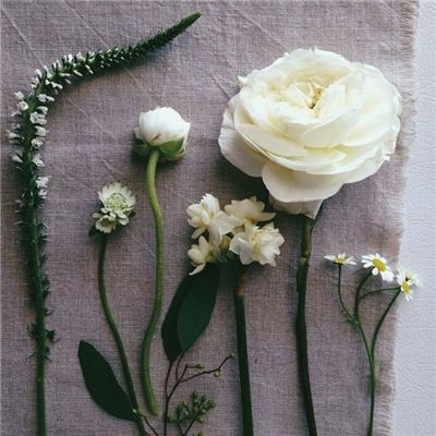 九州官网十年信誉玩家首选