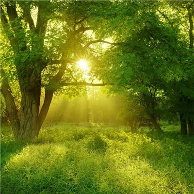 幸运快3在线官网