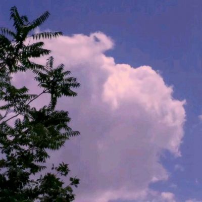 必一体育官网平台